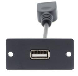 [PKR-WU-AA] Wall Plate Insert − USB (A/A)