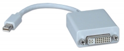 Adaptateur Mini DisplayPort mâle vers DVI femelle