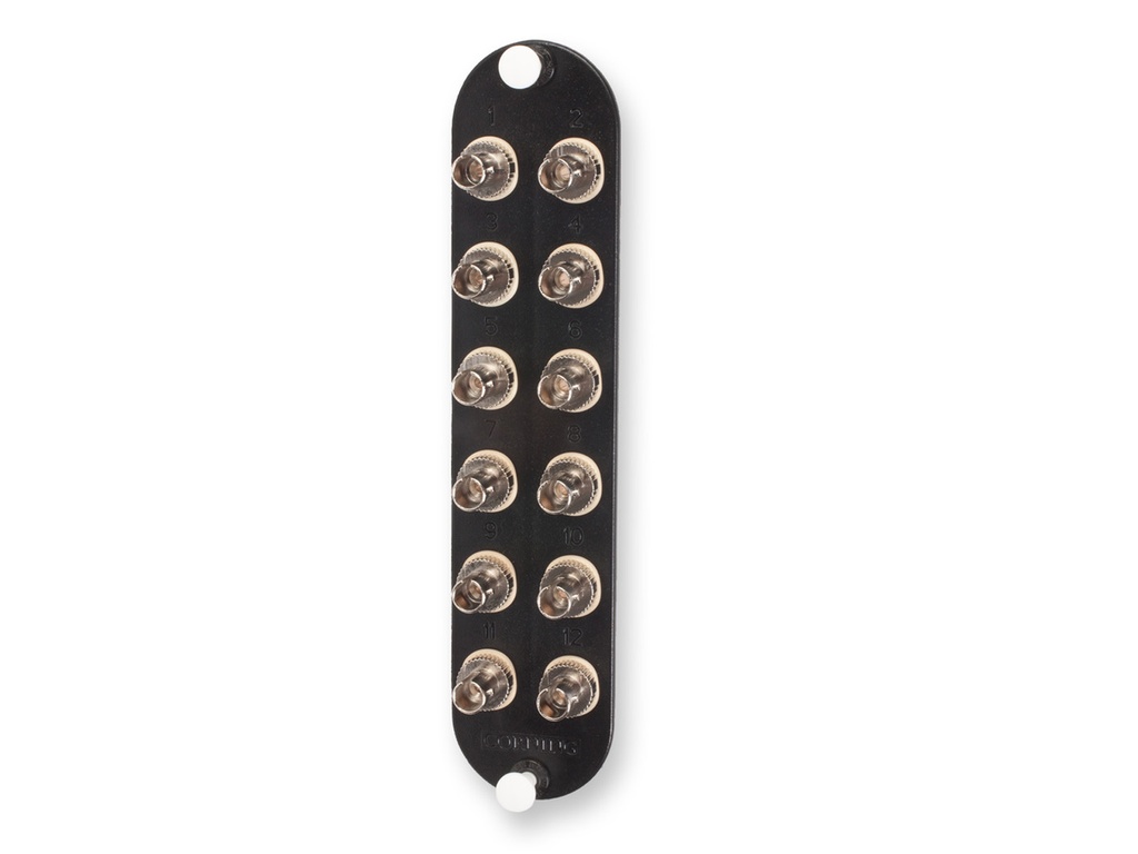 CCH Panel, 12 ST Simplex Adapters, Multimode (OM1)