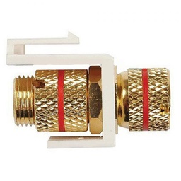 [WPIN-BAN-R] Banana Clip Female/Female Keystone wall plate Insert Red, Gold Plated - White