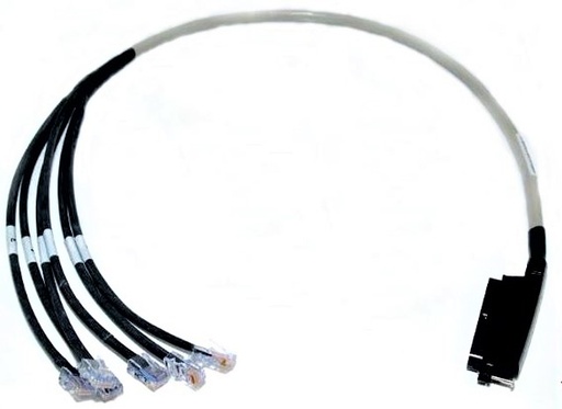Telco 50 Male to 6X RJ45 Male