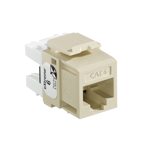 [PLV-GM8-12] CAT6+ RJ45 Ivory Module Leviton