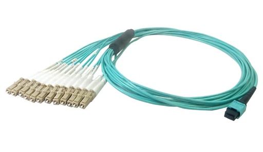 12-Fiber Multimode OM4 12-Position MPO to 12x LC/UPC not clipped, OFNP Plenum