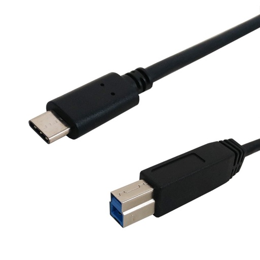 Câble USB 3.1 Type-C mâle vers B mâle 10G 3A